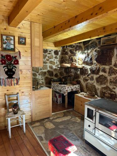 a kitchen with a stove and a stone wall at Ranch below Ostrog 