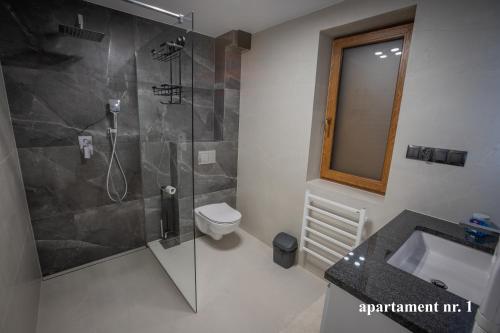 un bagno con doccia, WC e lavandino di Apartamenty Katarzyna a Święta Katarzyna