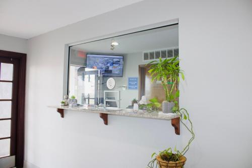 a mirror on the wall of a room with plants at Meridian Inn Oklahoma City Airport in Oklahoma City