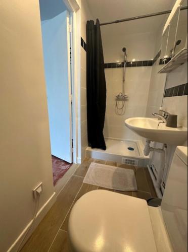 une salle de bain avec toilettes et lavabo dans l'établissement Seaside getaway - top apartment, à Ouistreham