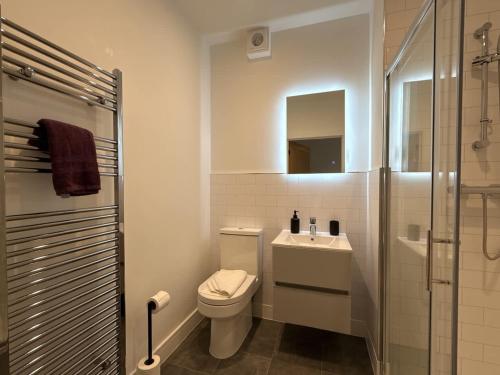 a bathroom with a toilet and a sink and a shower at Beautiful 1 bed - 5 Queen Street Abingdon - Centrally located parking subject to availability - Ashbrook Serviced Apartments in Abingdon