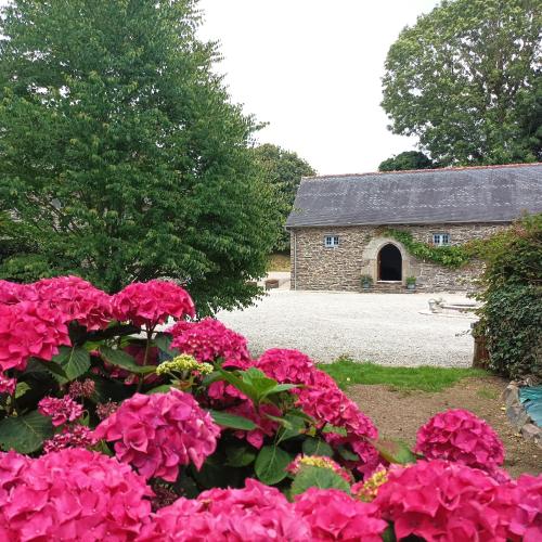 Une bande de fleurs roses devant un bâtiment dans l'établissement La Longère du Manoir, à Laniscat