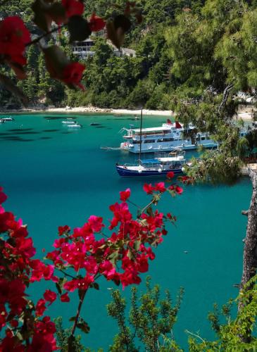 a group of boats in a body of water with red flowers at Liadromia Hotel in Patitiri