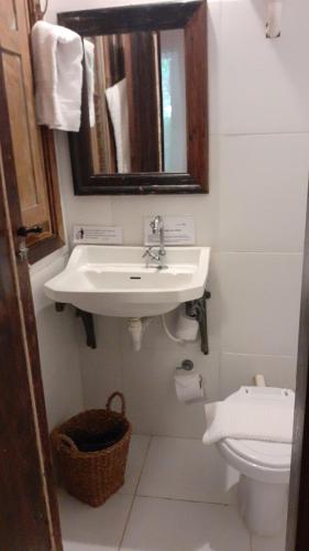 a bathroom with a sink and a toilet and a mirror at Uaná Etê EVEN GLAMPING Experiências de Charme in Engenheiro Paulo de Frontin