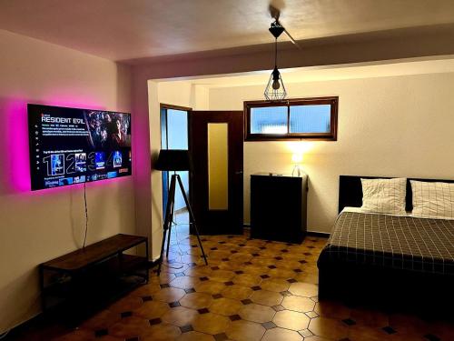 une chambre avec un lit et une télévision au mur dans l'établissement Magnifique appartement dans villa rénovée de 45m2, à Pérols