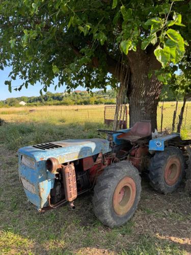 an old tractor parked next to a tree at Lukic Guest house in Ulcinj