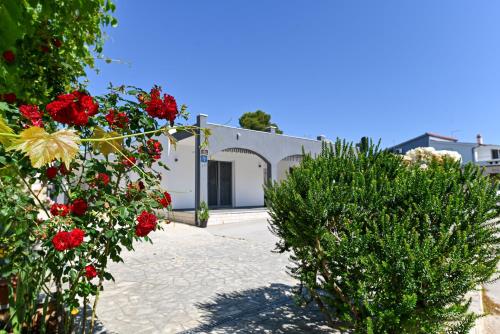 Apartments Patricia