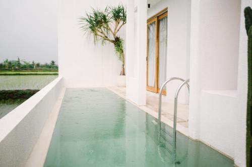 a swimming pool in a house with green water at Morroi Villas Tanah Lot in Mantaak
