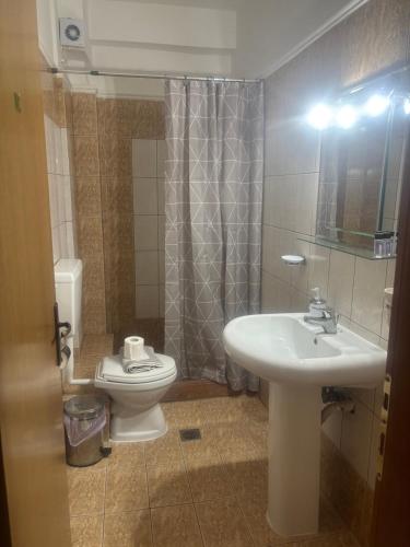 a bathroom with a sink and a toilet at Indigo sea view rooms in Olympiaki Akti