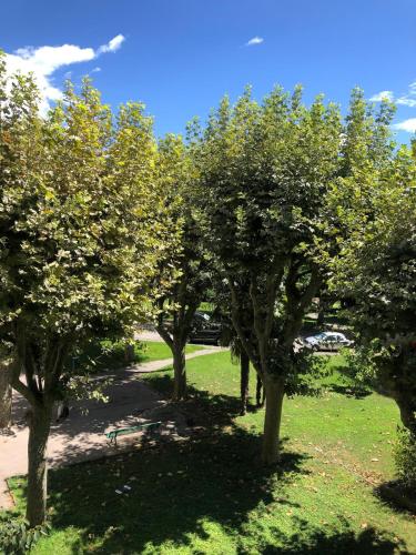 une rangée d'arbres dans un champ à ciel bleu dans l'établissement Big Apartement 20 min from beach, à Nice