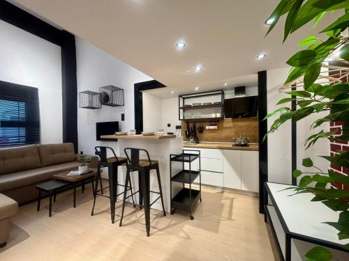 Η κουζίνα ή μικρή κουζίνα στο Astera Luxury Loft
