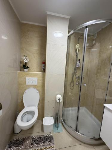 a bathroom with a toilet and a shower at Apartments Dani in Postojna