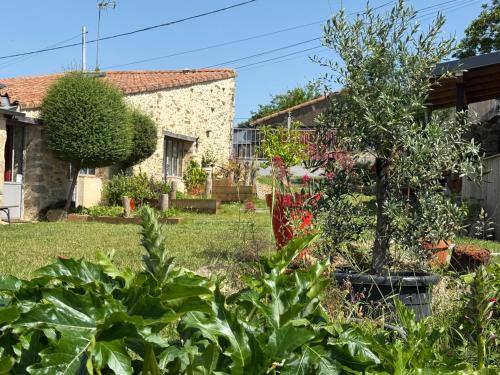 Κήπος έξω από το Les Chambres de la Forge des Collines