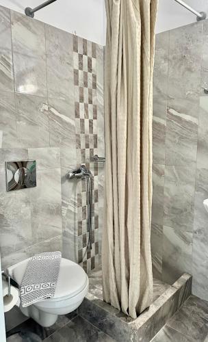 a bathroom with a toilet and a shower at Celeste NAXOS Chora in Naxos Chora