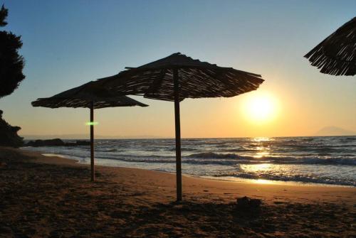 Gallery image of Fournia Village in Kyllini