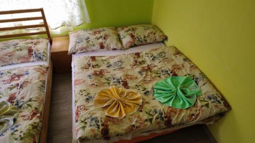 two twin beds in a room with green walls at Pension Euro 2000 in Děčín
