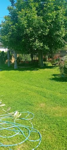 Gallery image of CAMP, Glamping, Tent jurta, shared outdoor kitchen and bathroom in Mrše
