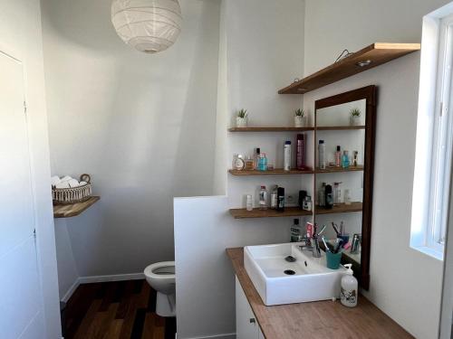 une salle de bain avec un lavabo et des toilettes dans l'établissement Maison charmante avec piscine - 6 personnes - proche mer, à Saint-Gilles-Croix-de-Vie