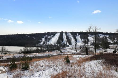 a snow covered hill with a waterfall in the distance at Moose Tracks Cabin Hot Tub 1 Mile To Lake in Lake Harmony