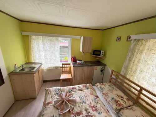 a bedroom with a bed and a sink and a kitchen at Pension Euro 2000 in Děčín