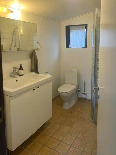 a bathroom with a white sink and a toilet at Enjoy Nature And Water In Rågeleje Near Vejby in Vejby