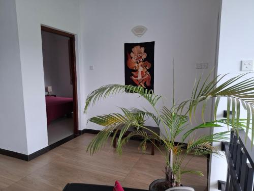 a plant in a room with a painting on the wall at Aquahills in Kandy