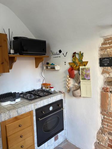 a kitchen with a stove and a microwave at Il Caratteristico -centro storico- "Anno 1887" in Capistrello