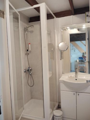 une salle de bain avec douche et lavabo dans l'établissement Joli appartement en résidence proche de la plage, à Dolus-d'Oléron