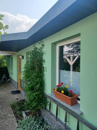 a green house with a window and a blue roof at Waldblick in Cavertitz