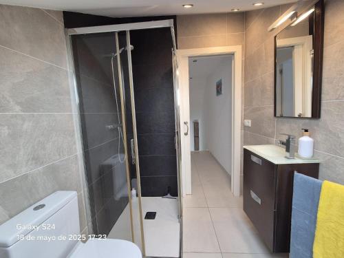 a bathroom with a shower and a toilet and a sink at Lar BCN in Pobra do Caramiñal