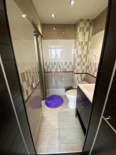 a bathroom with a shower and a toilet and a sink at PENTHOUSE gran vista, maravillosa ubicación in Mexico City