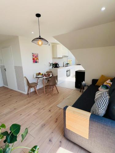 Sunny Loft Basel Airport Art Basel