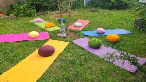 a group of yoga mats on the grass at Chambre Mer'veille proche Mont Saint Michel in Le Ferré