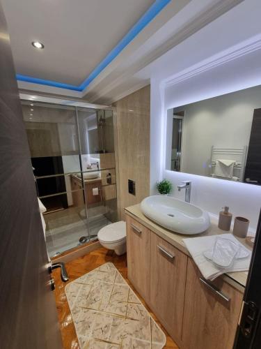 a bathroom with a sink and a toilet and a mirror at Garsoniera central Otopeni in Otopeni