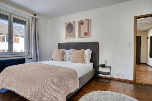 Amber Suite · Wipkingen