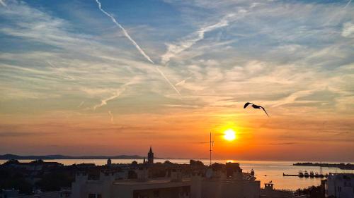 365 Sunsets Apartment by Belmont Realty