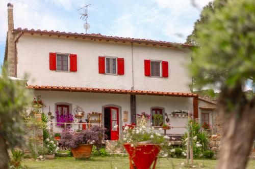 Κήπος έξω από το Agriturismo Montemagni di Sopra