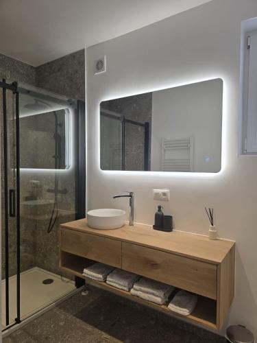 a bathroom with a sink and a mirror at Topgelegen Appartement Alma in Antwerp