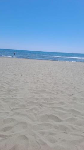 una spiaggia sabbiosa con l'oceano sullo sfondo di Apartment D&A a Ulcinj