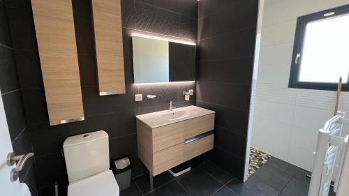 une salle de bain avec un lavabo, des toilettes et un miroir dans l'établissement La Gaboline villa 9p avec piscine, à Montalivet-les-Bains