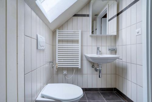a bathroom with a toilet and a sink at Eagle Suite Charmante Dachgeschosswohnung mit Design & Ausblick in Zurich