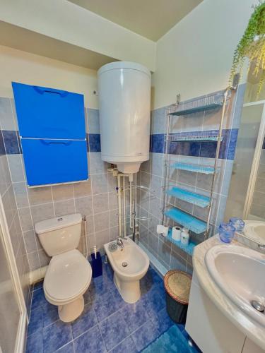 une salle de bain avec toilettes et lavabo dans l'établissement Studio Nice proche gare Riquier et port, à Nice