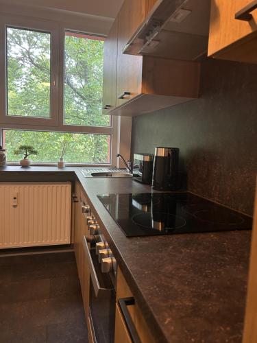 Dapur atau dapur kecil di GreenTreeHomes - Herzstück Kirsche- im Zentrum Coburgs