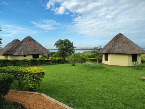 three huts with thatched roofs on a grass field at Bar Lyec Safari Lodge in Pakwach East