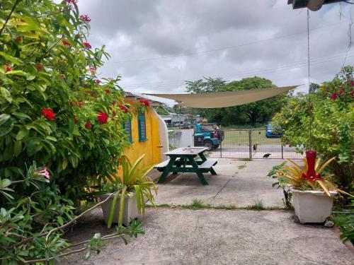 eine Terrasse mit einem Picknicktisch und einigen Pflanzen in der Unterkunft SHAMBHALA Homestays Cottage and Studio in Christchurch