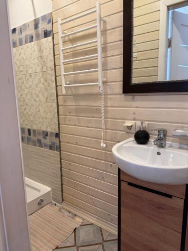 a bathroom with a sink and a mirror and a shower at Holiday Home Near FOREST in Skhidnitsa