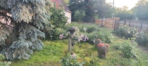 a garden with a lamp post and flowers at sobe MAŠA in Subotica