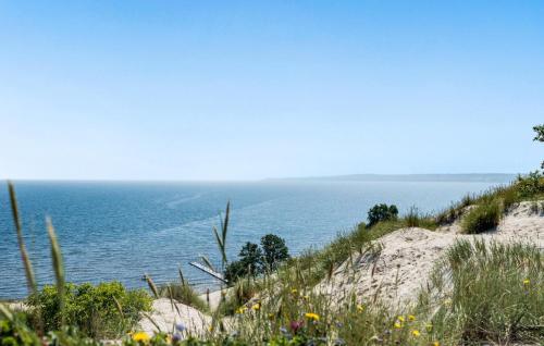 a view of the ocean from a hill with flowers at Beautiful Home In Børkop With Sauna in Børkop