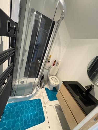 une salle de bain avec douche et toilettes dans l'établissement L 'escapade amiénoise 2, à Amiens