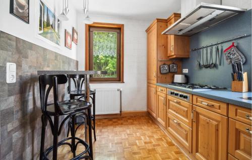 a kitchen with wooden cabinets and a counter at Nice Apartment In Steinbach-Hallenberg in Kurort Steinbach-Hallenberg